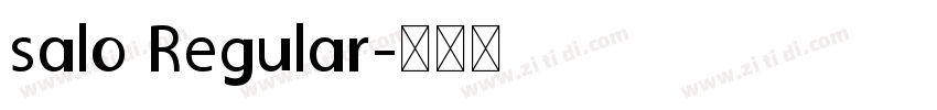 salo Regular字体转换